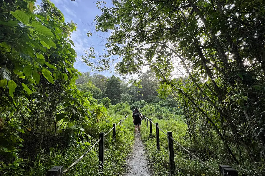 Forest trail at Thomson Nature Park off Upper Thomson Road